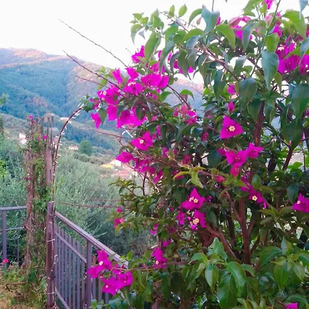 Tenuta Lombrica *